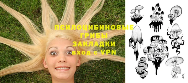 мет Майский